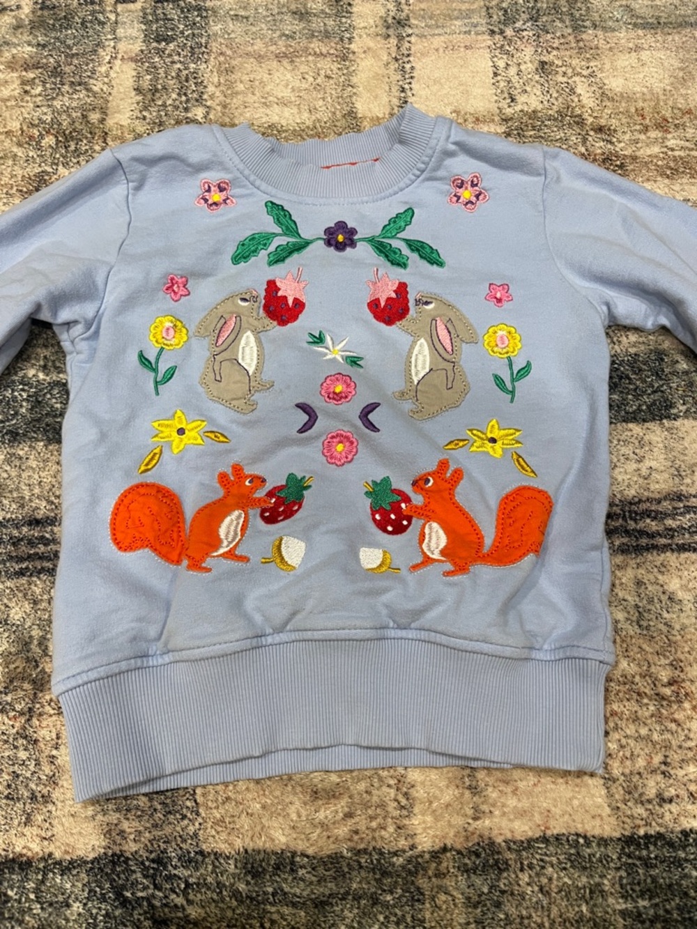 Woodland animal appliqué sweatshirt rabbits squirrels strawberries 3t